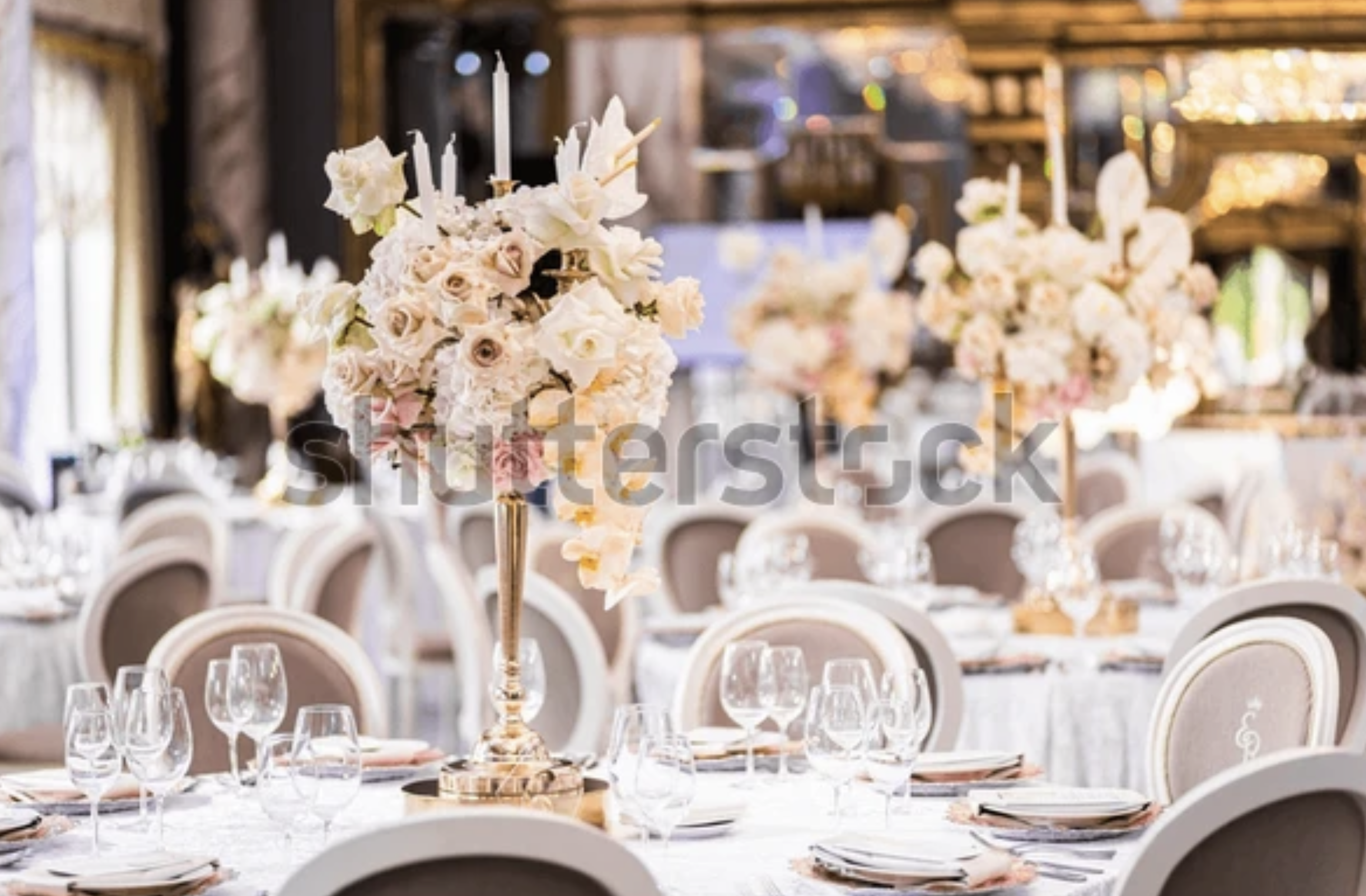 Wedding reception